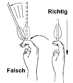 Handrücken